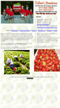 Mobile Screenshot of degrootsstrawberries.com